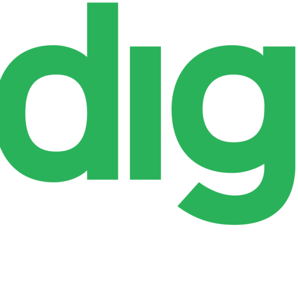 AfroDigital Logo Pan Afrodigital practical skills training platform empowering African professionals through hybrid learning