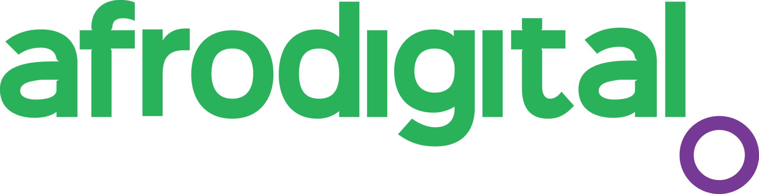 Pan Afrodigital practical skills training platform empowering African professionals through hybrid learning